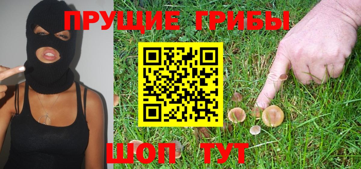 Галлюциногенные грибы Psilocybine cubensis  Вход с VPN  Псилоцибиновые грибы MAGIC MUSHROOMS  Уварово 